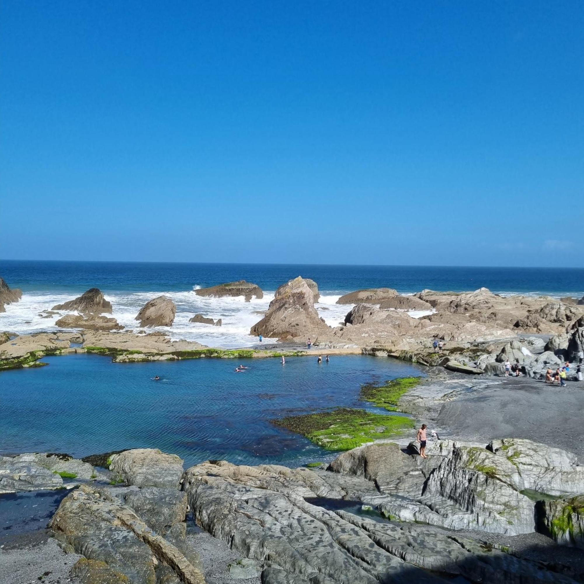 Kittiwake Lägenhet Ilfracombe Exteriör bild
